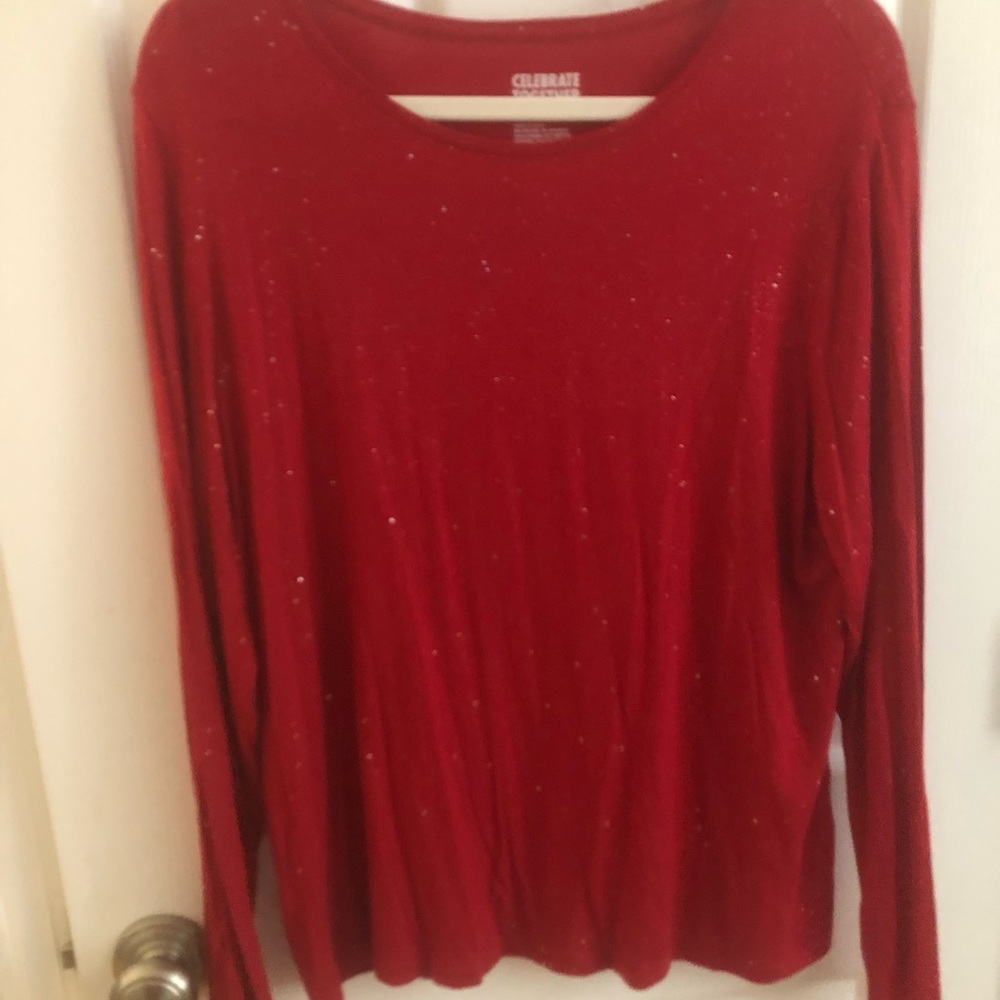 Celebrate Together Sz XL Sparkly Top